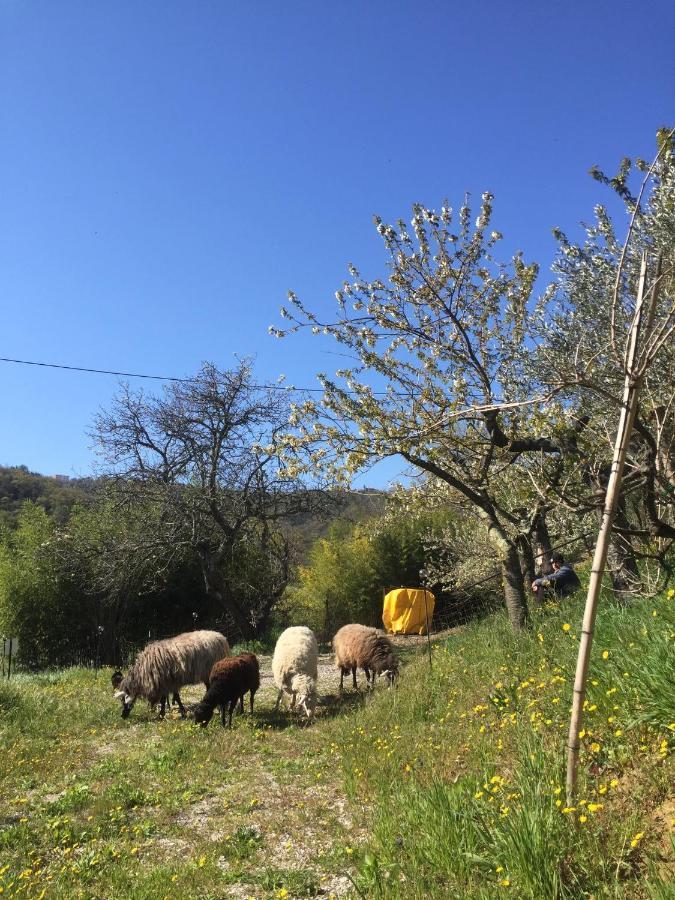Salara Farmhouse 科佩尔 外观 照片