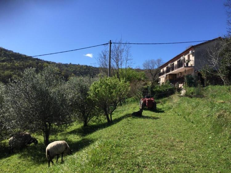 Salara Farmhouse 科佩尔 外观 照片